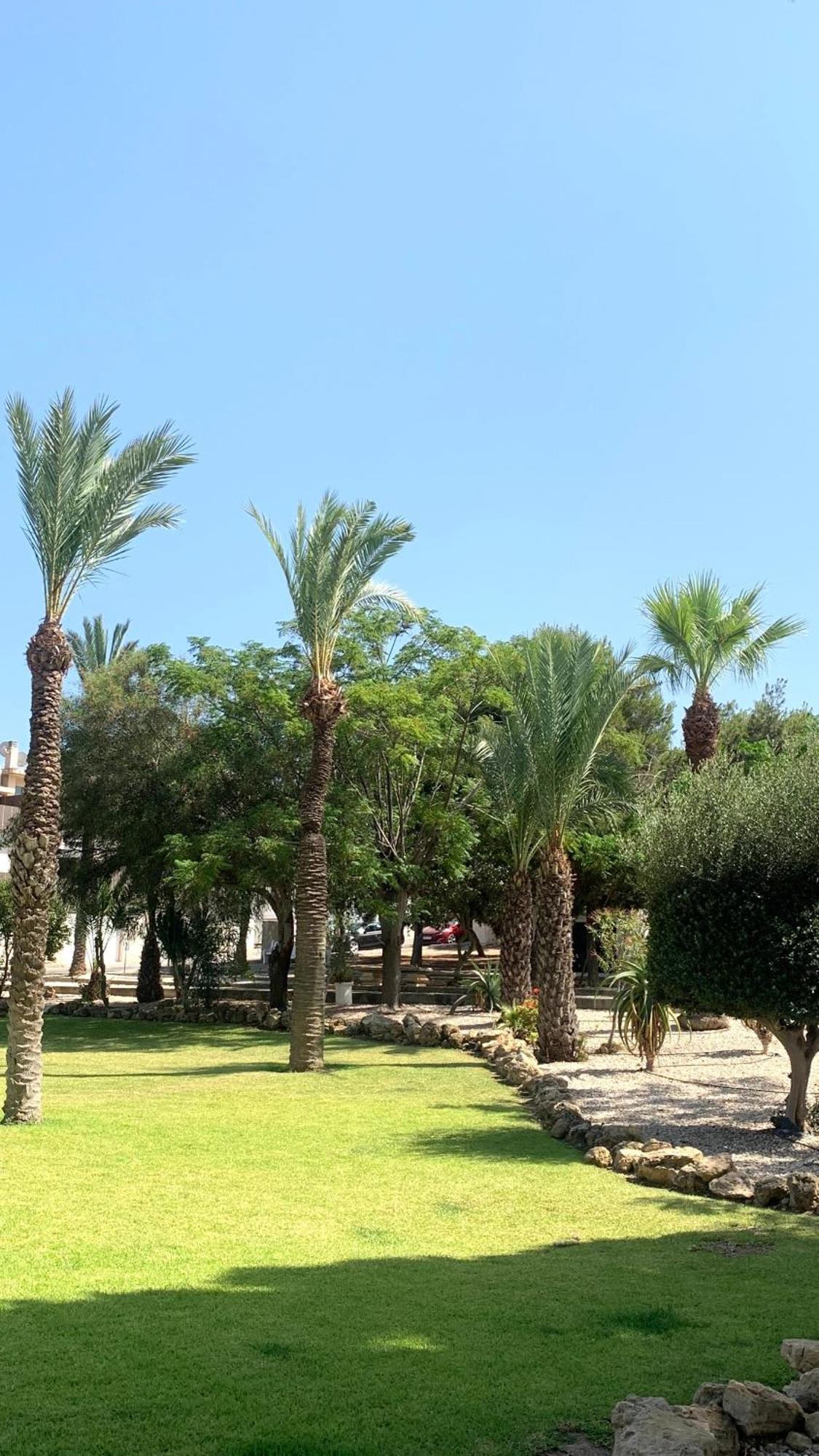 Lagovista45 Torrevieja Esterno foto