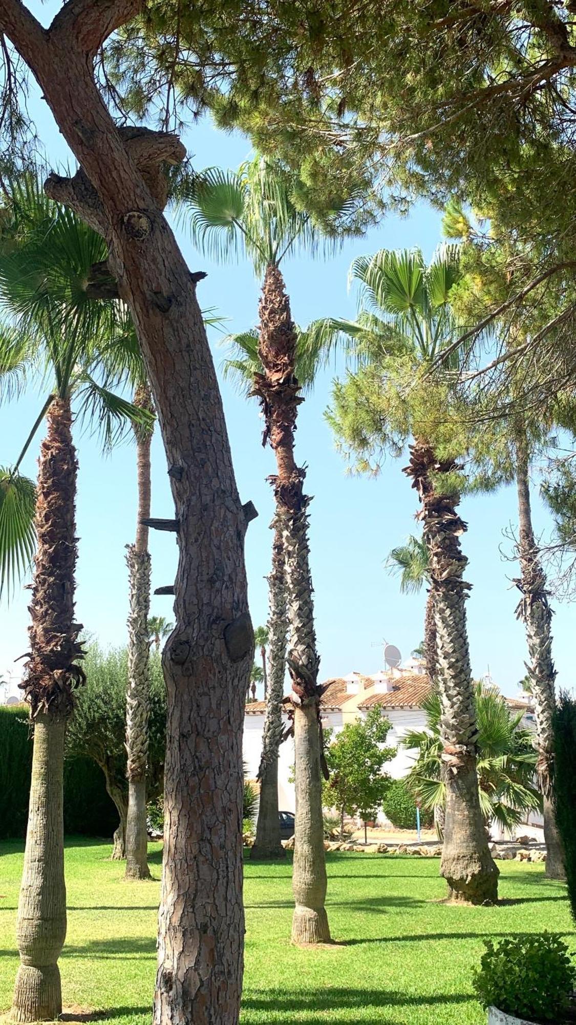 Lagovista45 Torrevieja Esterno foto